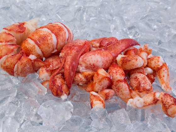 TCK Lobster Meat – Whole Pieces